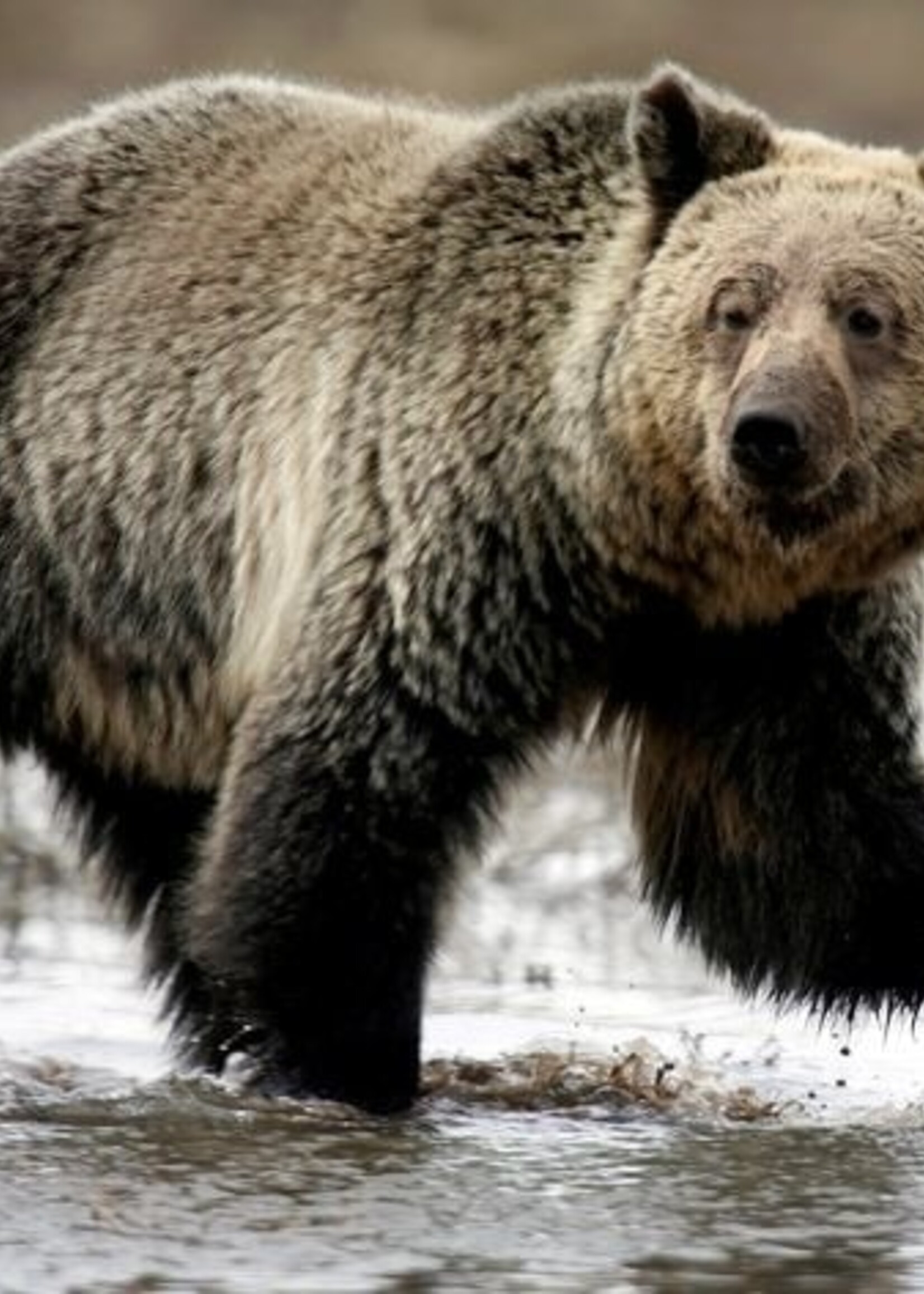 Minimum order amount